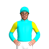 Jockey Silk