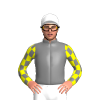 Jockey Silk