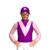 Jockey Silk
