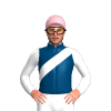 Jockey Silk