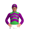 Jockey Silk