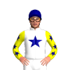 Jockey Silk