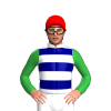 Jockey Silk