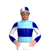 Jockey Silk