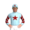 Jockey Silk