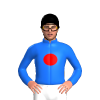 Jockey Silk