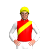 Jockey Silk