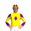 Jockey Silk