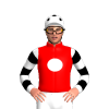 Jockey Silk