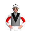 Jockey Silk