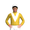 Jockey Silk