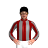 Jockey Silk