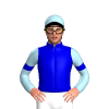 Jockey Silk