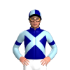 Jockey Silk