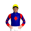 Jockey Silk