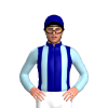 Jockey Silk