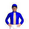 Jockey Silk