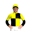 Jockey Silk