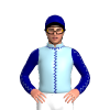 Jockey Silk