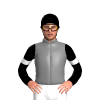 Jockey Silk