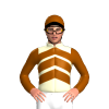 Jockey Silk
