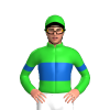 Jockey Silk