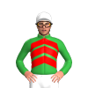 Jockey Silk