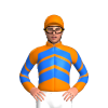 Jockey Silk