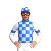 Jockey Silk