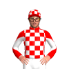 Jockey Silk