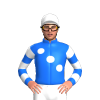 Jockey Silk