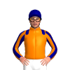 Jockey Silk