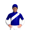 Jockey Silk
