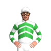 Jockey Silk