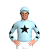 Jockey Silk