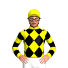 Jockey Silk