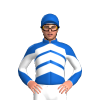 Jockey Silk