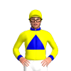 Jockey Silk