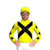 Jockey Silk