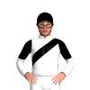 Jockey Silk