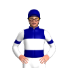 Jockey Silk