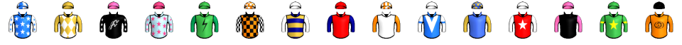 Runner silk