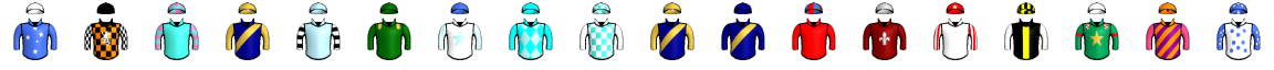 Runner silk