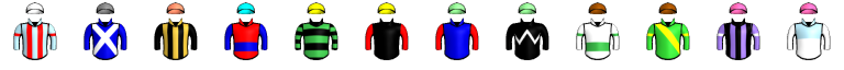 Runner silk