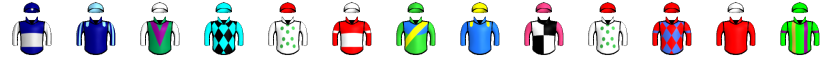 Runner silk