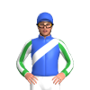 Jockey Silk