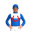 Jockey Silk