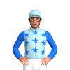 Jockey Silk