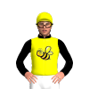 Jockey Silk