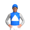 Jockey Silk